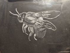 a drawing of a bee on the back of a car