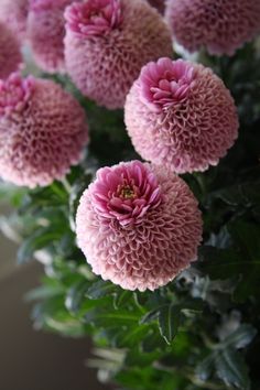 a bunch of pink flowers sitting in a vase