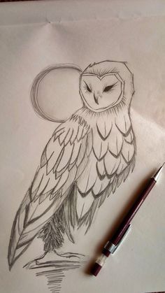 a drawing of an owl sitting on top of a piece of paper next to a pen