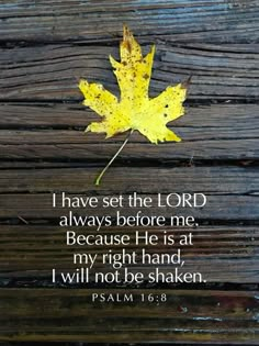 a yellow leaf sitting on top of a wooden table with a bible verse written in it