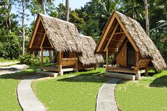 two wooden cabins with grass roofs and walkways leading to them in front of palm trees