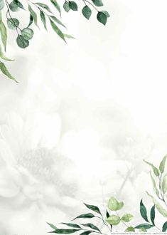 an abstract floral background with green leaves and flowers on the left side, in shades of white