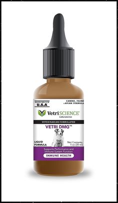 VetriScience Laboratories - Vetri DMG Liquid, Immune Support for Cats and Dogs, 30 Servings Lactic Acid Build Up, Pets Food, Dog Vitamins, Healthy Supplements, Watery Eyes, Laboratory Science, Dog Training Collar, Immune Response