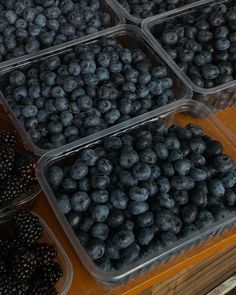 blueberries and blackberries in plastic containers on a table