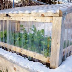 a small wooden greenhouse with plants growing in it's sides and snow on the ground