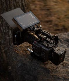 a camera sitting on top of a rock next to a tree