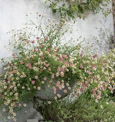 a planter filled with lots of flowers next to a wall