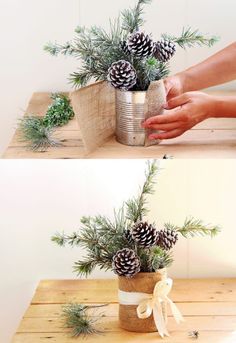 two pictures with pine cones and plants in them