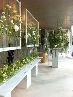 a room filled with lots of white flowers and plants in vases on top of benches