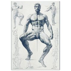 a drawing of a man standing in front of many different body shapes and muscles, with his hands on his hips