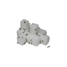 some white cubes with black bugs on them