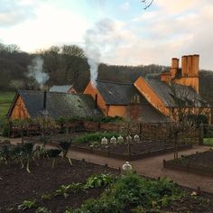 an outdoor garden with lots of plants and buildings in the background