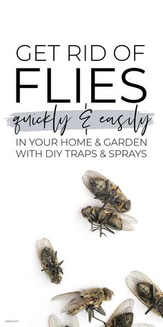 the cover of get rid of flies gently and easily in your home garden with diy traps & sprays