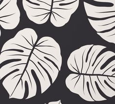 a black and white wallpaper with large leaves on the back ground in various sizes