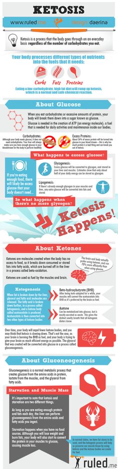 Ketosis Infographic / #lowcarb shared on https://facebook.com/lowcarbzen Ketosis Diet, Sport Nutrition, Ideal Protein, Low Carb Diets, Low Carb Eating, Atkins Diet, High Fat Diet, Low Carbohydrates, Diet Help