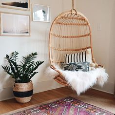 a hanging chair in the corner of a room with plants and pictures on the wall