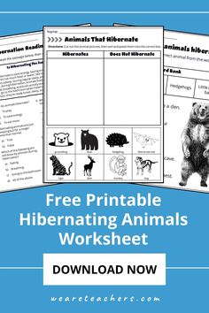 an animal worksheet with the text free printable hibernating animals worksheet