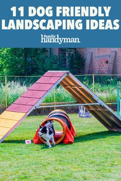 a dog is playing in the grass with a slide and play set behind it that says, 11 dog friendly landscaping ideas