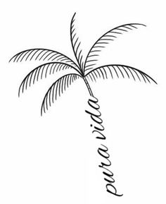 a black and white drawing of a palm tree with the word paradise written on it