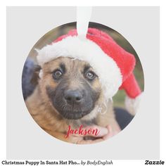 a dog wearing a santa hat with the name jackson in it's center circle