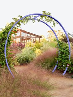 an arch in the middle of a garden filled with lots of plants and flowers on either side of it