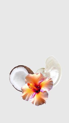 an orange and white flower is in the middle of some coconuts on a gray background