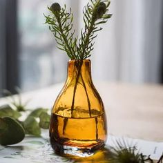 a yellow vase with some green plants in it