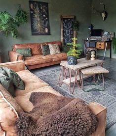 a living room with couches, tables and plants on the wall in it's corner