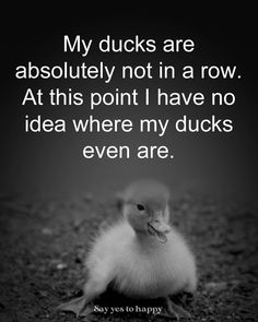 a little duck sitting on the ground with a quote above it that says, my ducks are absolutely not in a row at this point i have no idea where my ducks even