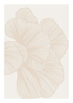 a white flower on a beige background with lines in the shape of leaves and petals