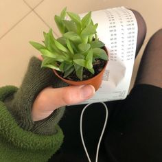 a person holding a small potted plant in their hand with a receipt on it