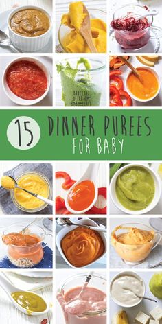 the cover of dinner purees for baby, with pictures of different sauces and dips