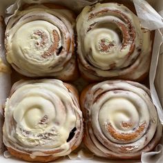 four cinnamon rolls with icing in a box