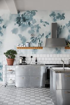 a kitchen with blue and white wallpaper, stainless steel appliances and potted plants