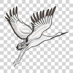 a white bird flying in the sky with wings spread out, transparent background png clipart