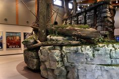 an exhibit with rocks and trees in it