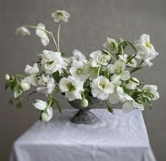 March Decor, White Wedding Flowers Centerpieces, Centerpiece Inspiration, Modern Floral Arrangements, Green Wedding Flowers, Hello March, Greenery Arrangements, White Centerpiece, Flower Close Up