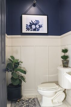 a white toilet sitting in a bathroom next to a potted plant on top of a rug