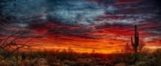 the sun is setting over a desert landscape with cactus trees and cacti in the foreground