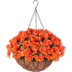 a hanging basket filled with orange flowers on a white background for use as a planter