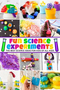 Preschool Easy Science Activities, Science Activities For Second Grade, 7 Year Craft Ideas, 5th Grade Crafts, Fun Science Experiments, Human Body Projects, Crafting Activities, School Age Activities, Abc Kids