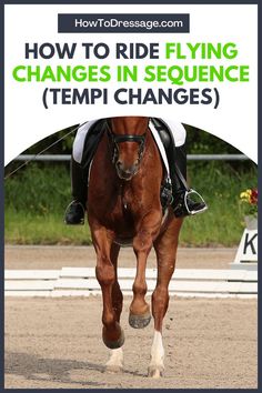 a horse with the words how to ride flying changes in sequence tempi changes