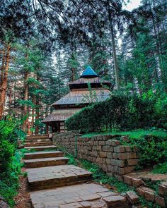 steps lead up to a building in the middle of a forest with trees around it