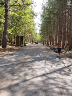 a road in the middle of a forest with lots of trees on both sides and a red fire hydrant at the end