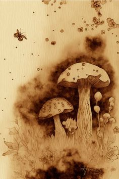 an ink drawing of mushrooms in the grass with a bee flying over them and another insect on the ground