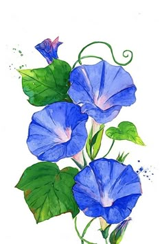 watercolor painting of blue flowers with green leaves