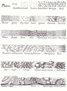 four different types of lines that are drawn in pencil and ink, with the names on them