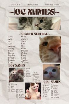 a poster with pictures of cats and kittens on it's front page, including names