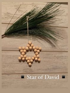 a star of david ornament hanging from a pine branch with the words star of david on it