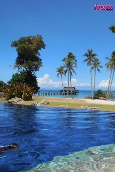 an outdoor swimming pool with palm trees and the ocean in the backgroung